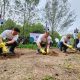 Kurangi Emisi Karbon, 3 Perusahaan Menanam Ribuan Pohon di Mangrove Pasuruan