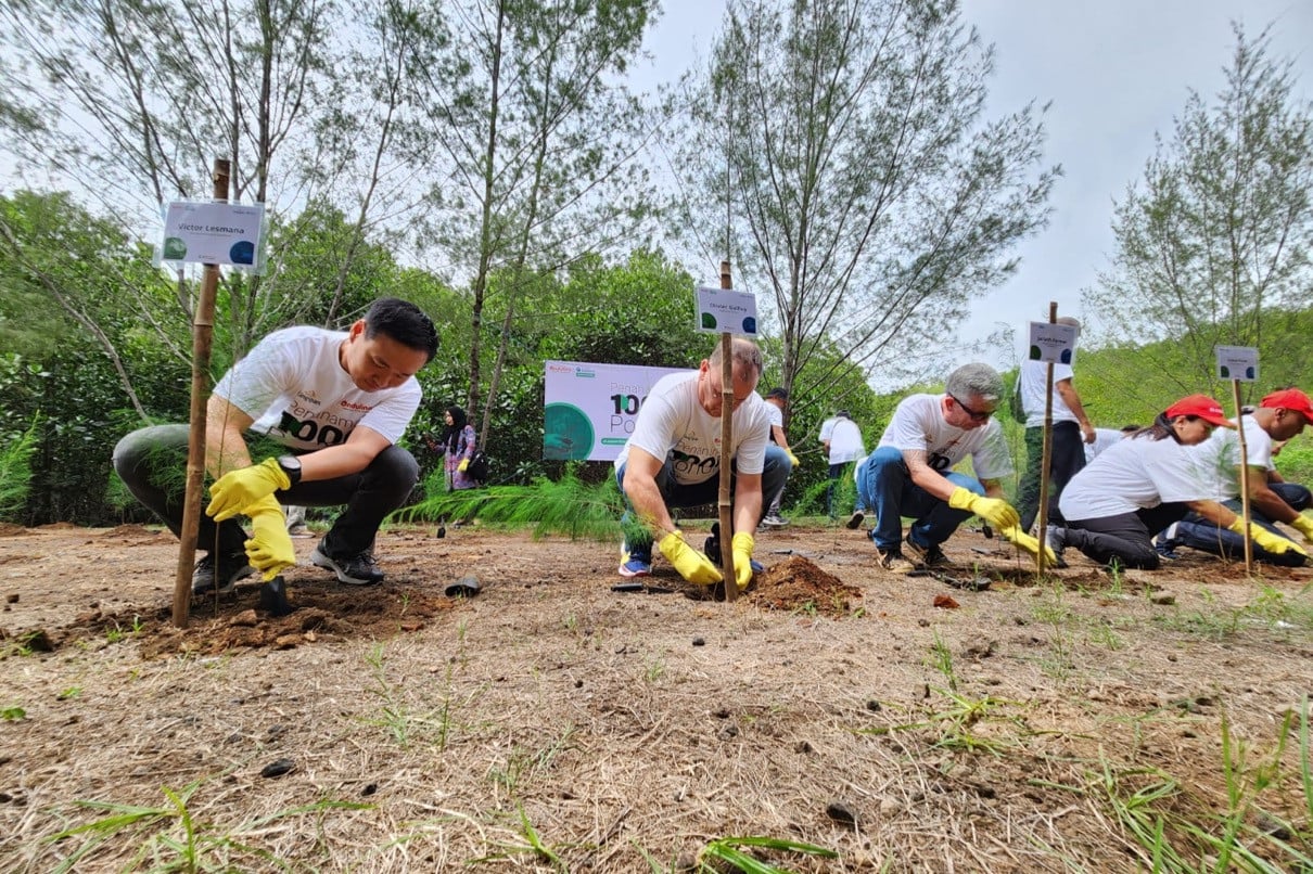 Kurangi Emisi Karbon, 3 Perusahaan Menanam Ribuan Pohon di Mangrove Pasuruan