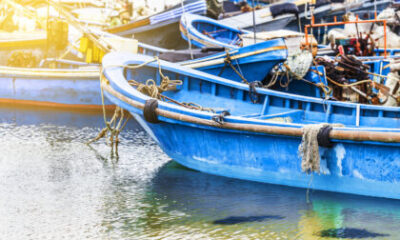 KKP Meningkatkan Hilirisasi Sektor Perikanan