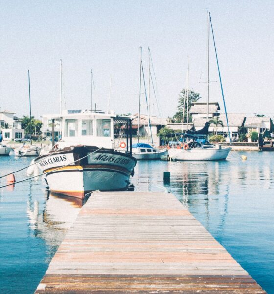 white motorboat near dock