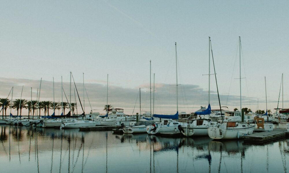 boats on body of water