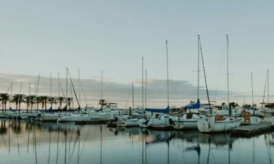 boats on body of water