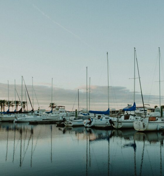 boats on body of water