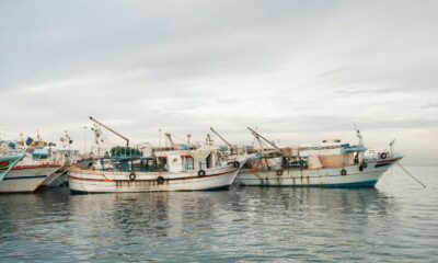 white fishing boars on body of water