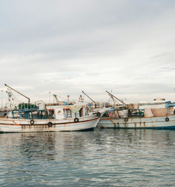 white fishing boars on body of water